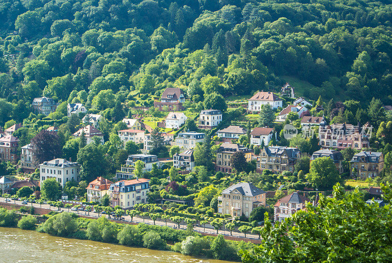 海德堡中心内卡河河岸山坡上的大量住宅，屋顶的空中全景，Baden-WÃ¼rttemberg，德国。