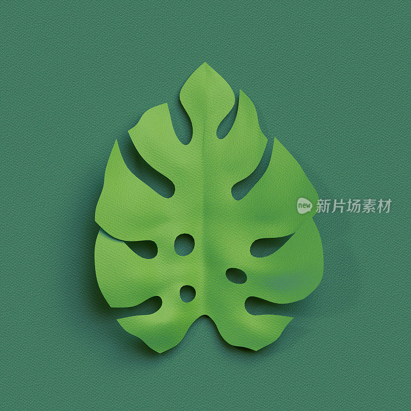 3d渲染，剪纸装饰，绿色热带树叶，孤立的植物剪辑艺术元素