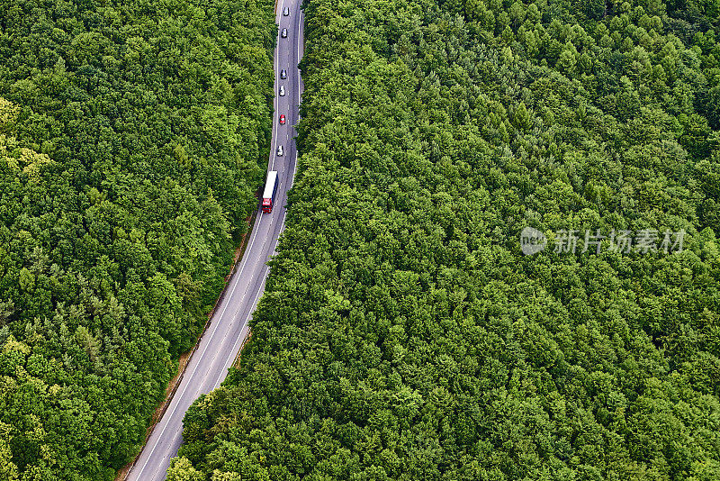 鸟瞰图的道路与交通通过森林景观