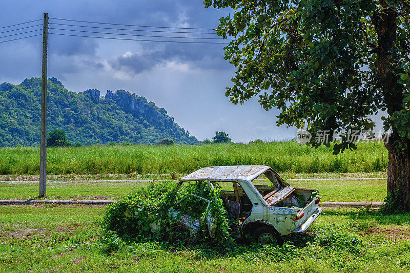 生锈的汽车残骸，被遗弃的旧汽车长满了草，一个生锈的废旧汽车，已被遗弃在山下的树