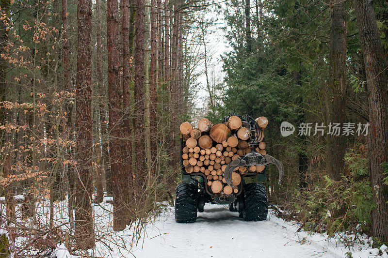 加拿大安大略省，一辆卡车装载着松木，行驶在积雪覆盖的林地道路上