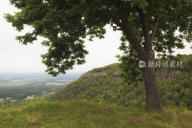 纽约州撒切尔州立公园的风景