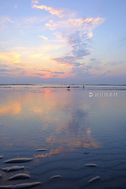 北海海滩沙丘上的夏日日落