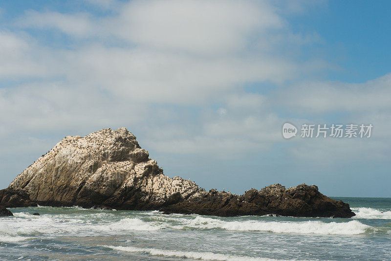 旧金山加利福尼亚海洋海滩夏季景观