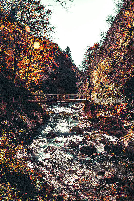 秋天的山溪