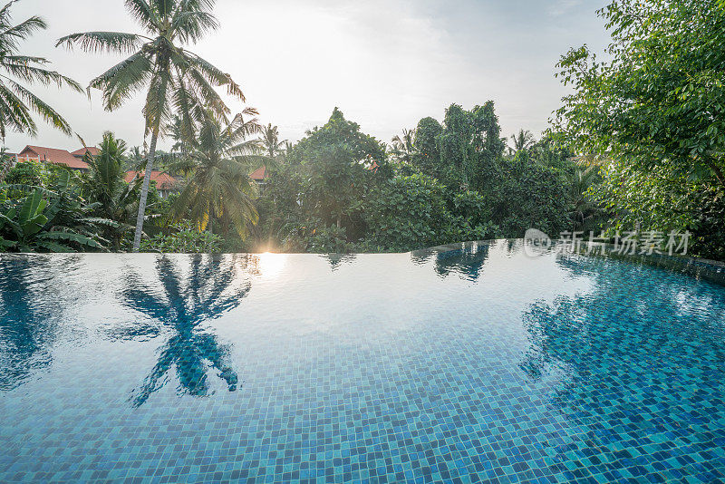 印度尼西亚巴厘岛乌布的绿色雨林上的无边泳池