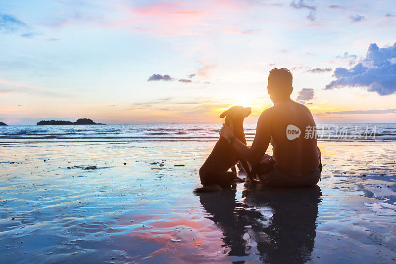 友谊的概念，人和狗一起坐在沙滩上