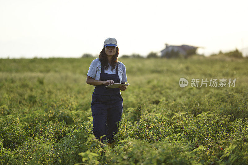 年轻女性农民与数字平板电脑