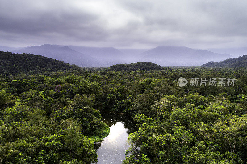 热带雨林的鸟瞰图