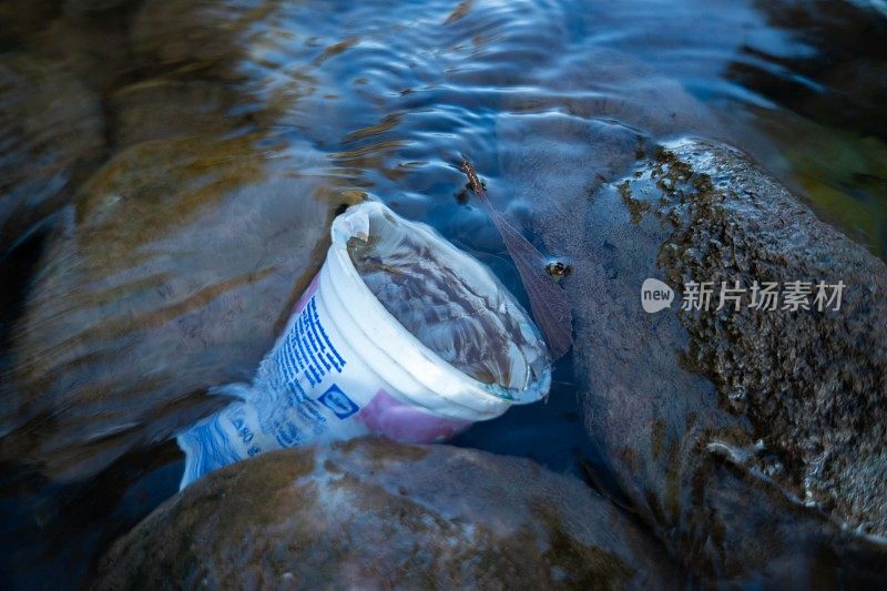 塑料杯漂浮在河面上的照片