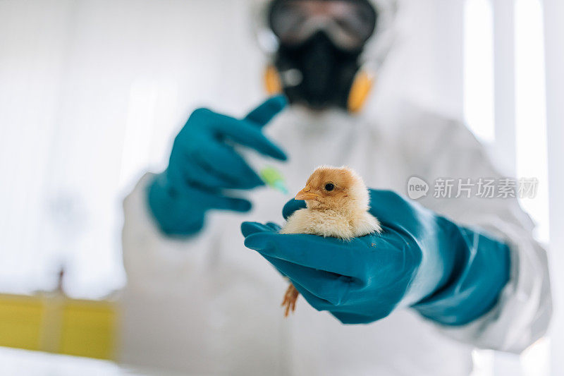 这位科学家提高了实验室里食物的质量