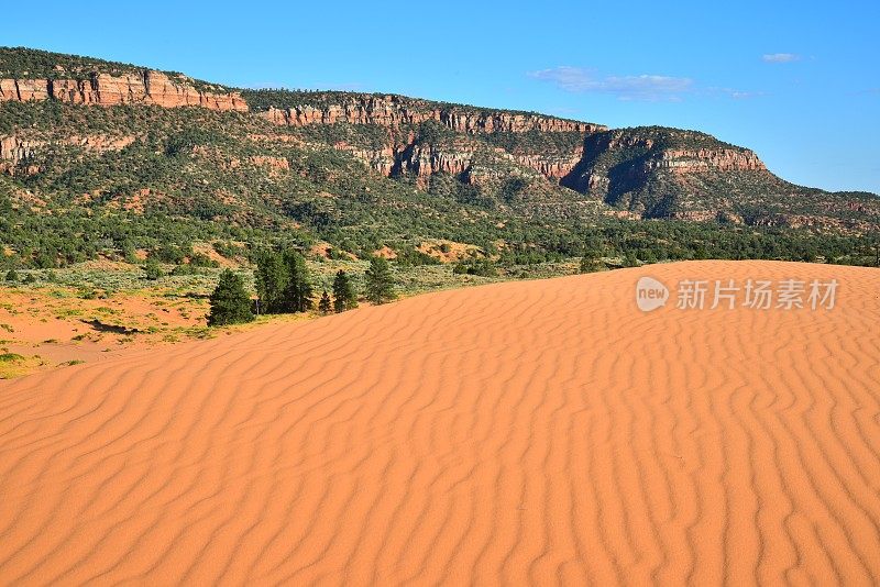 珊瑚粉沙丘州立公园