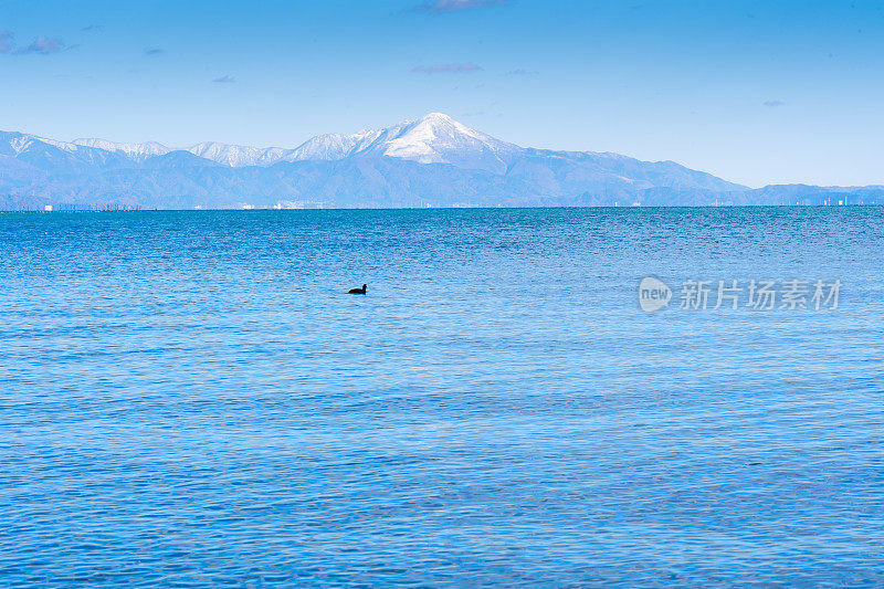 日本镰仓美丽的海滩海景，背景是萨拉米湾。