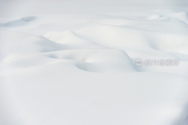 白雪背景的特写