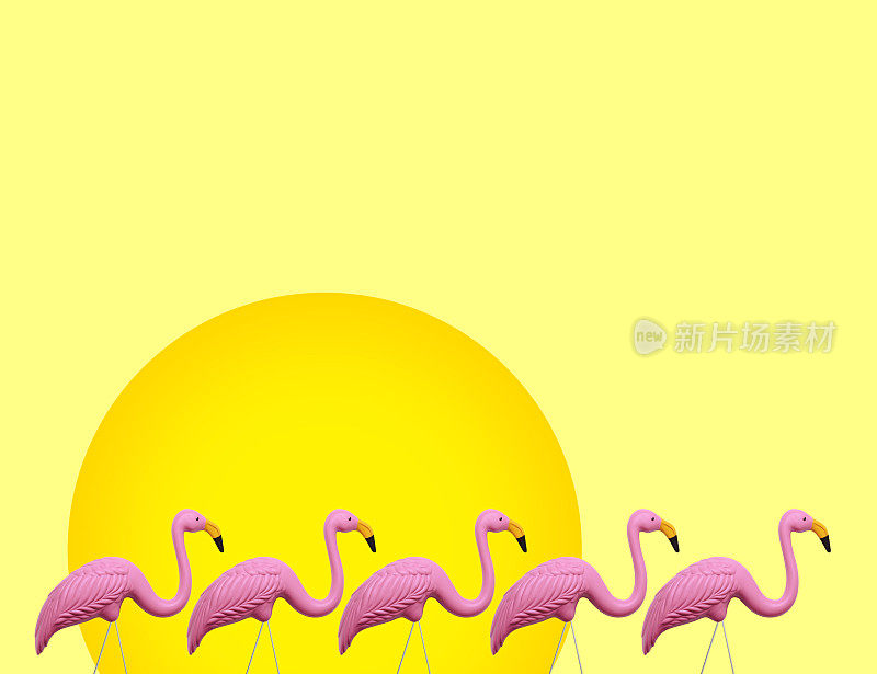 装饰的粉红色火烈鸟前面的太阳和黄色的背景
