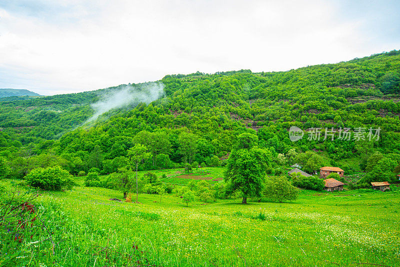 斯塔拉平原老山的绿草地