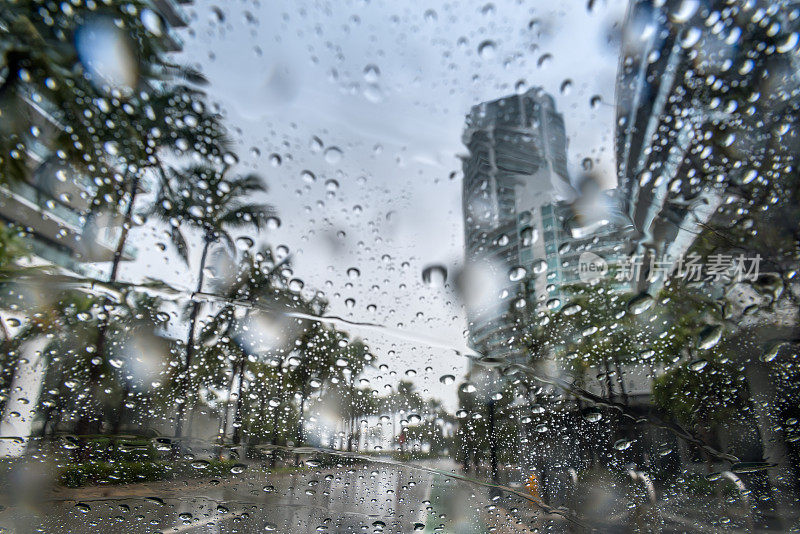 热带雨