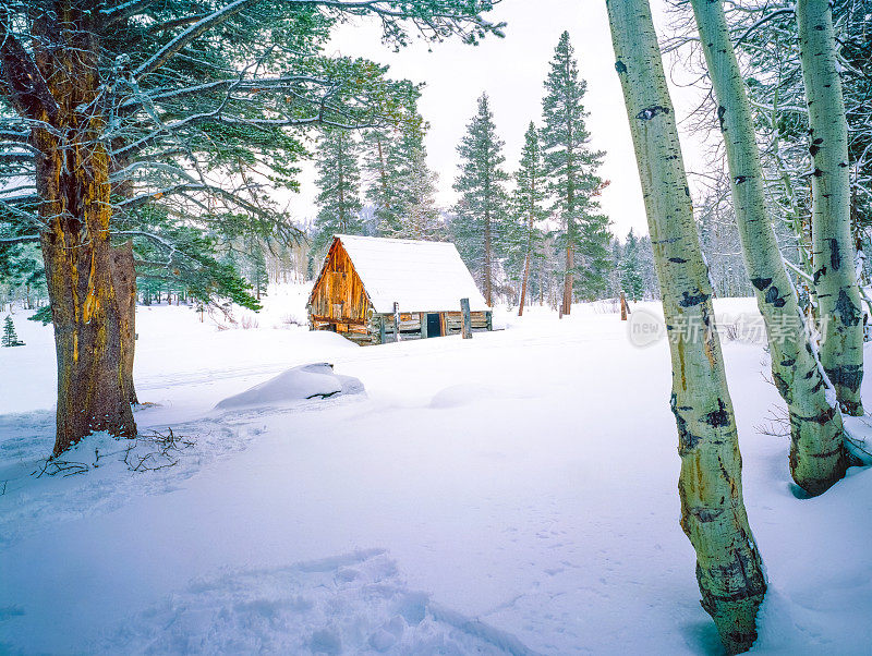 雪覆盖的废弃小屋在国家森林的太浩湖，ca