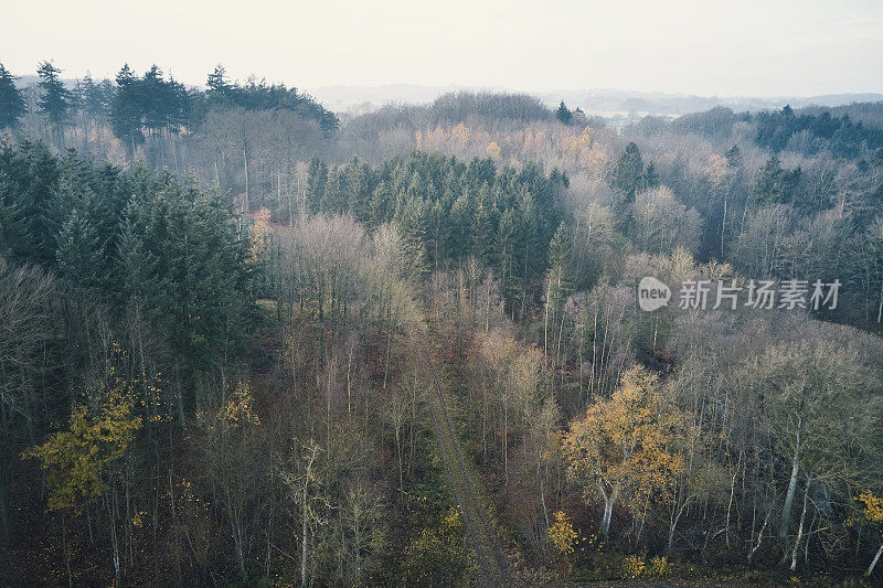 丹麦的秋天风景