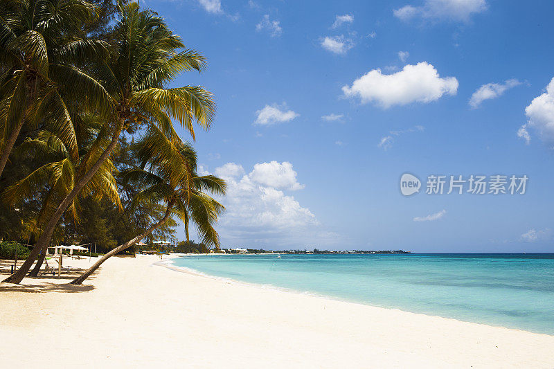 热带岛屿和棕榈树加勒比海海滩