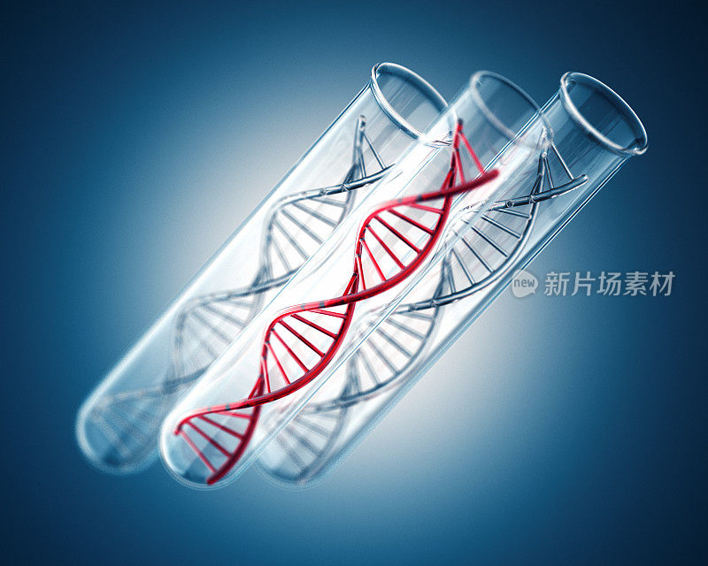 DNA。试管