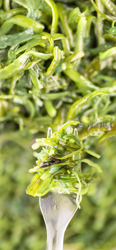 绿色裙带海藻沙拉的特写镜头，叉子上有芝麻和辣椒