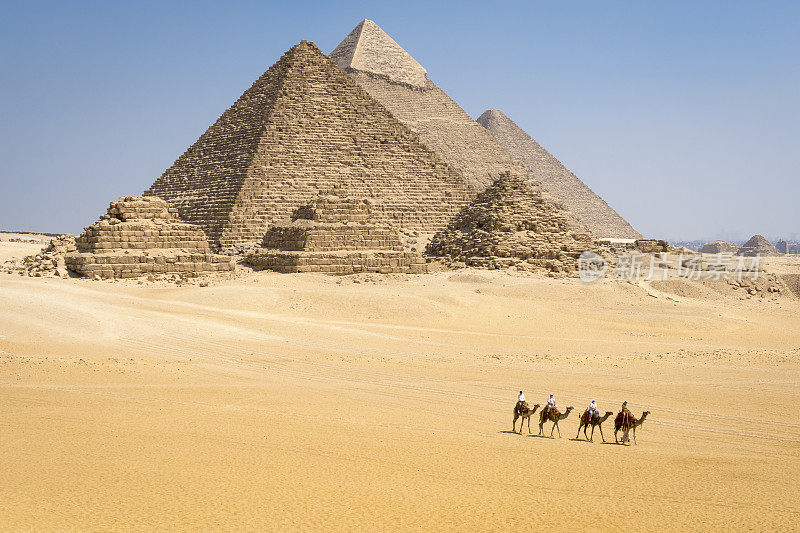 埃及吉萨金字塔和骆驼商队的全景