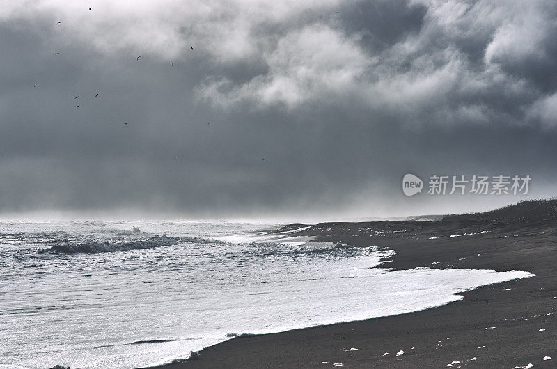 惊涛骇浪的大海，黑色的沙滩和暴风雨的云在戏剧性的天空