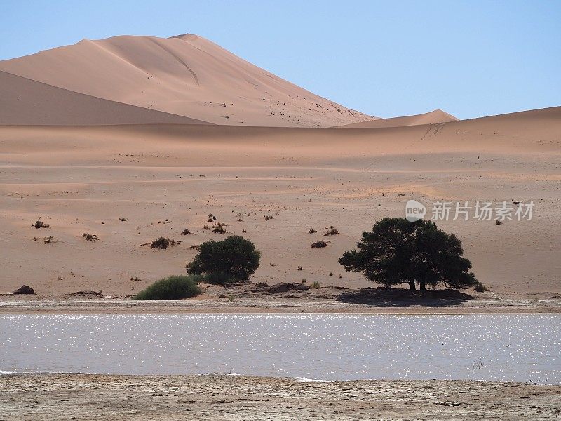 沙漠里的水，不是海市蜃楼