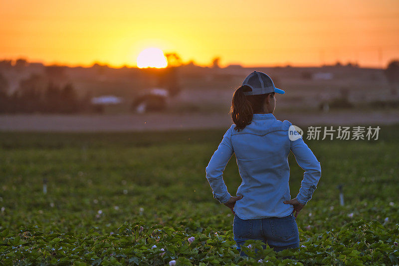 夕阳下，站在田间望着远方的农妇