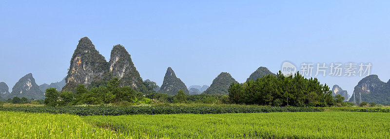 喀斯特地貌未污染农业区-稻田