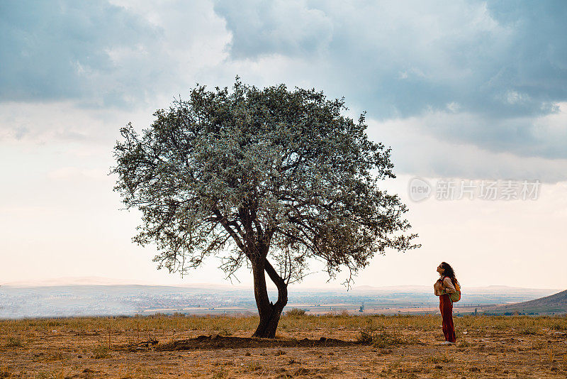在土耳其阿克萨莱，一个背包旅行的女孩正注视着空旷的田野中央的梨树