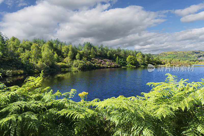 Lochan的景色Reòidhte在英国苏格兰特罗萨克斯的阿伯福伊尔附近的三湖大道上
