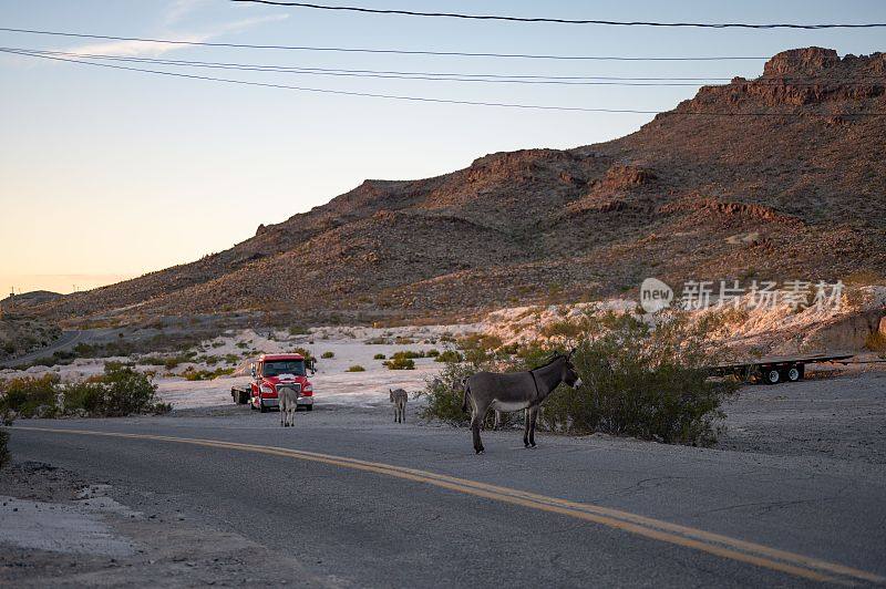 在遥远的西部小镇，街上有驴子