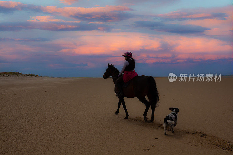 孤独的女性，她的海湾马和西班牙猎犬在日落时回家，享受了独自在空旷的海滩上骑马的和平与安宁。