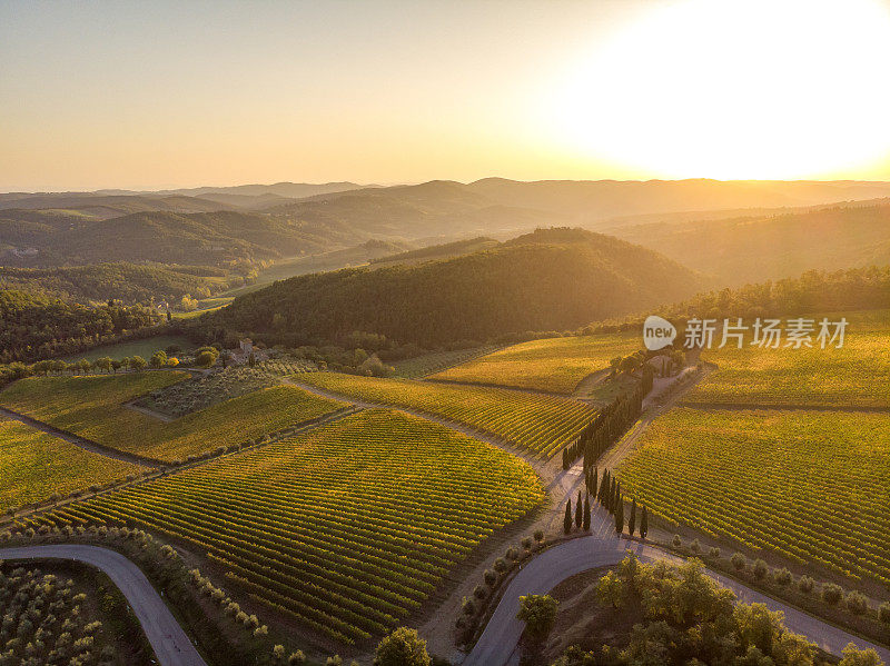 葡萄园景观在托斯卡纳，基安蒂地区