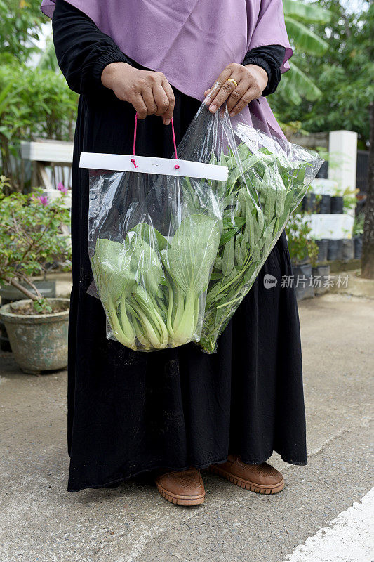 芥菜叶袋