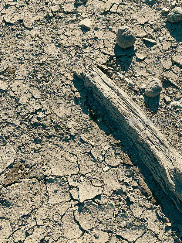 河底裂缝的纹理。背景:干枯的河底有碎裂的泥土