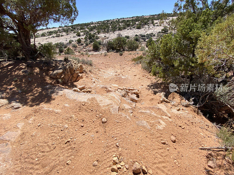 犹他州的岩石路