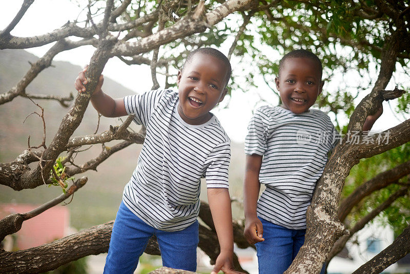 孩子们，大自然和双胞胎在树上的肖像，脸上带着微笑，孩子们在后院一起玩耍。可爱的同卵双胞胎兄弟，有趣和笑的男孩在公园或花园爬树。
