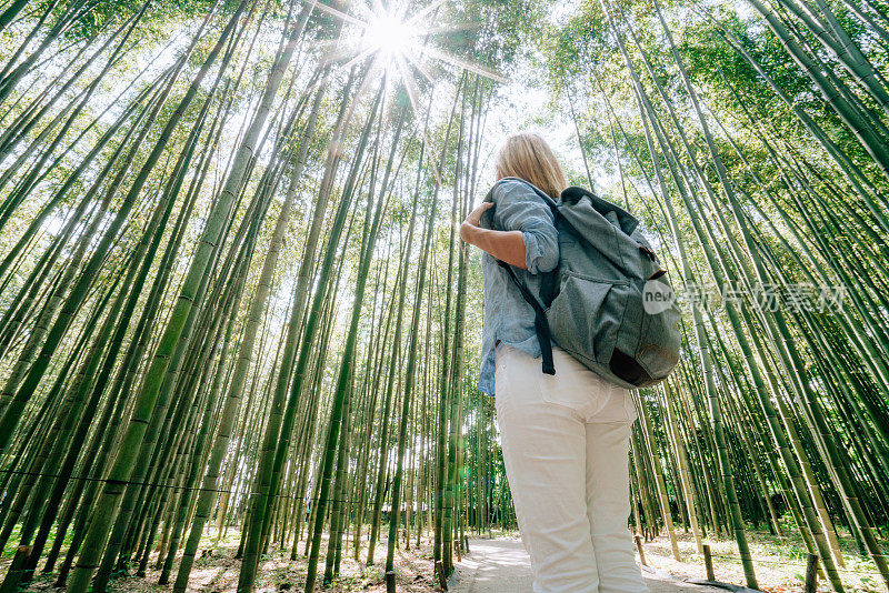 年轻女子在日本参观竹林