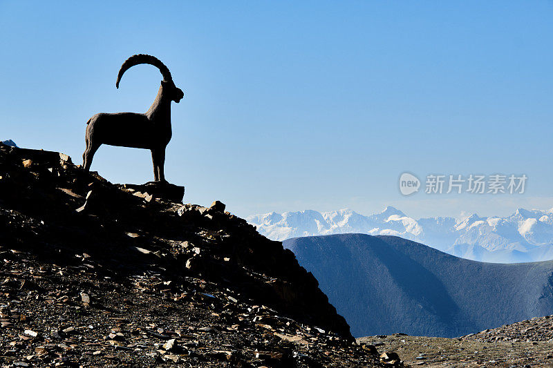 吉尔吉斯斯坦天山苏耶克山口的古老标志——野山羊雕像