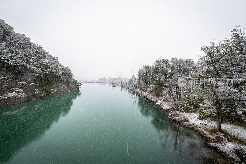 流经巴塔哥尼亚雪林的河流