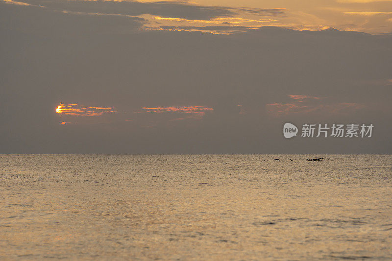 一群鹈鹕在海上飞翔，温暖的黎明阳光从多云的天空缝隙中射出来