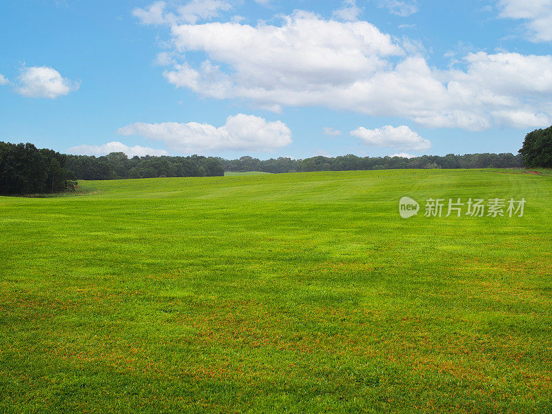 一片开阔的草地与蓝天的背景形成对比。用于插图背景图像或复制空间札幌钟楼