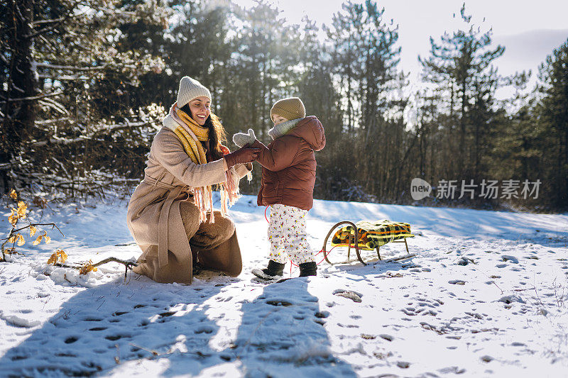 雪橇时间到了