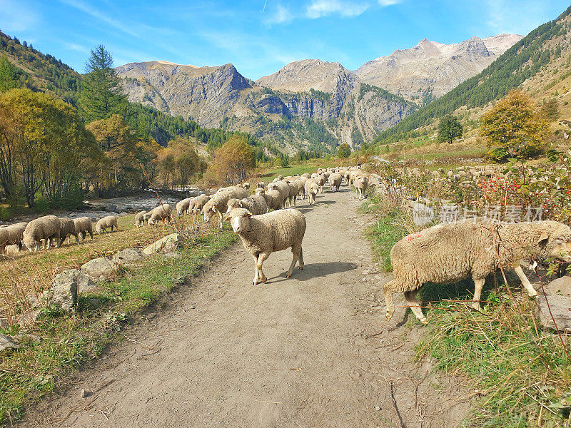 法国阿尔卑斯山徒步旅行