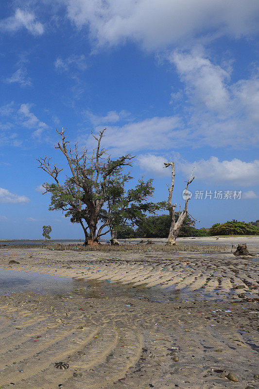 亚齐美丽海滩的全景