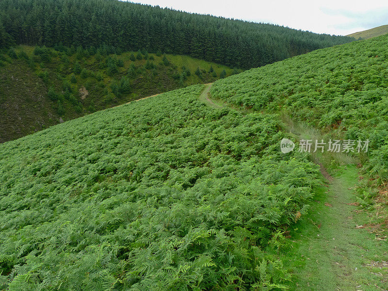 威尔士连绵起伏的青山