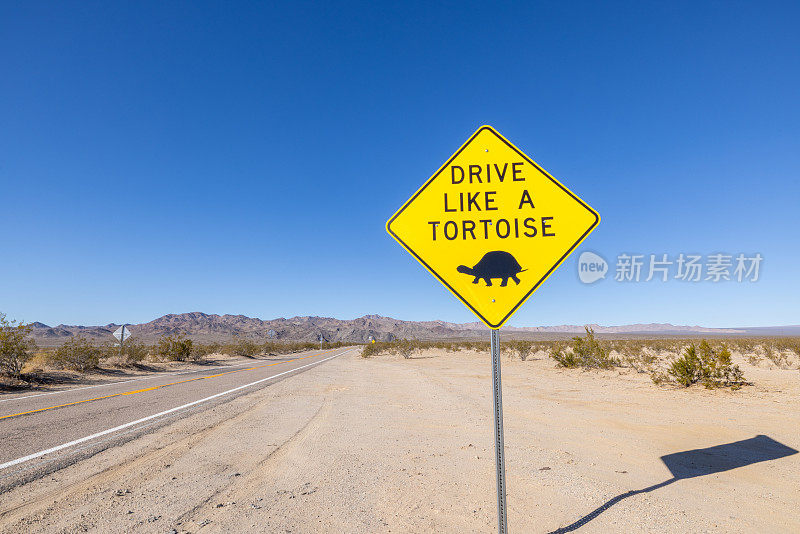 在加州莫哈韦沙漠像乌龟路标一样开车